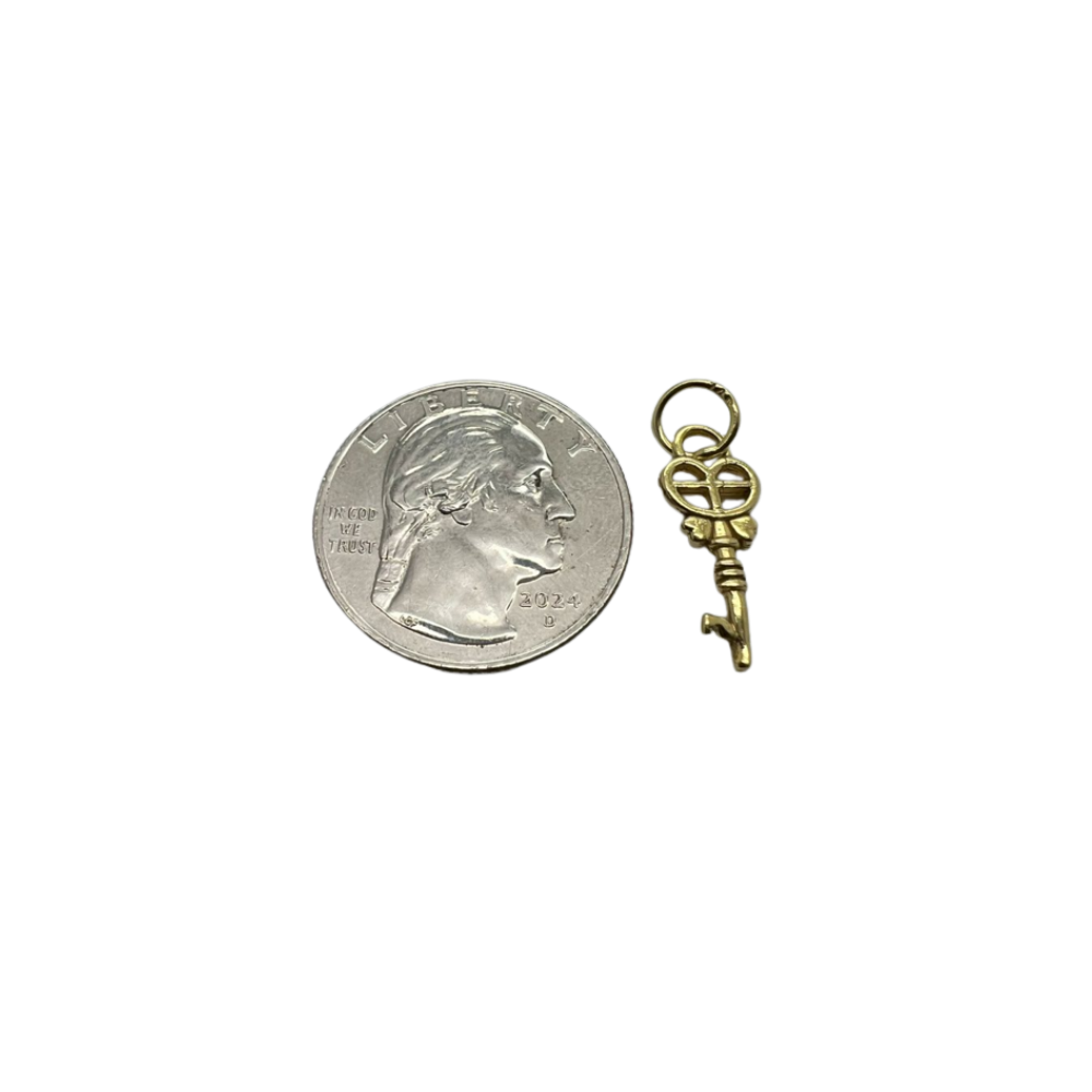 Fancy Skeleton Key Charm Pendant
