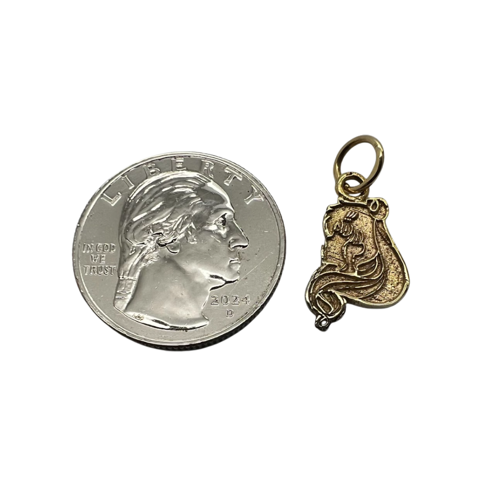 Sailor Moon Charm Pendant