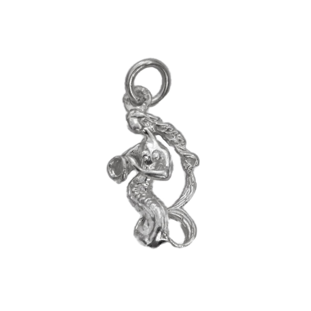 Aquarius Zodiac Sign Charm Pendant