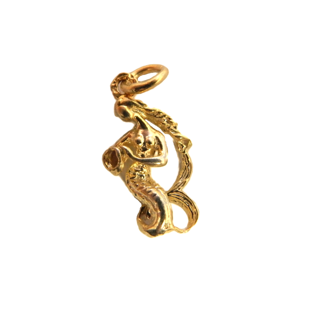 Aquarius Zodiac Sign Charm Pendant