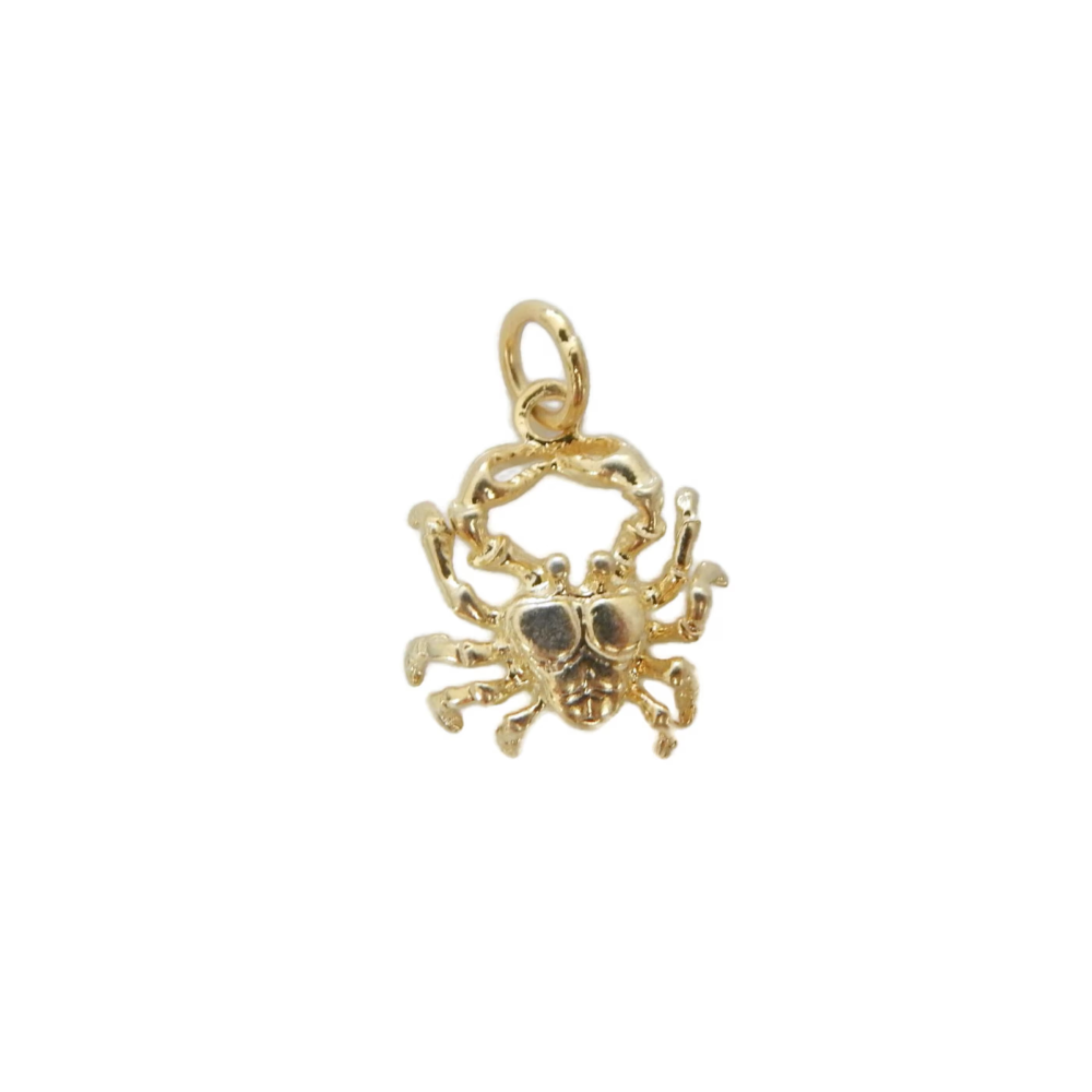 Cancer Zodiac Sign Charm Pendant
