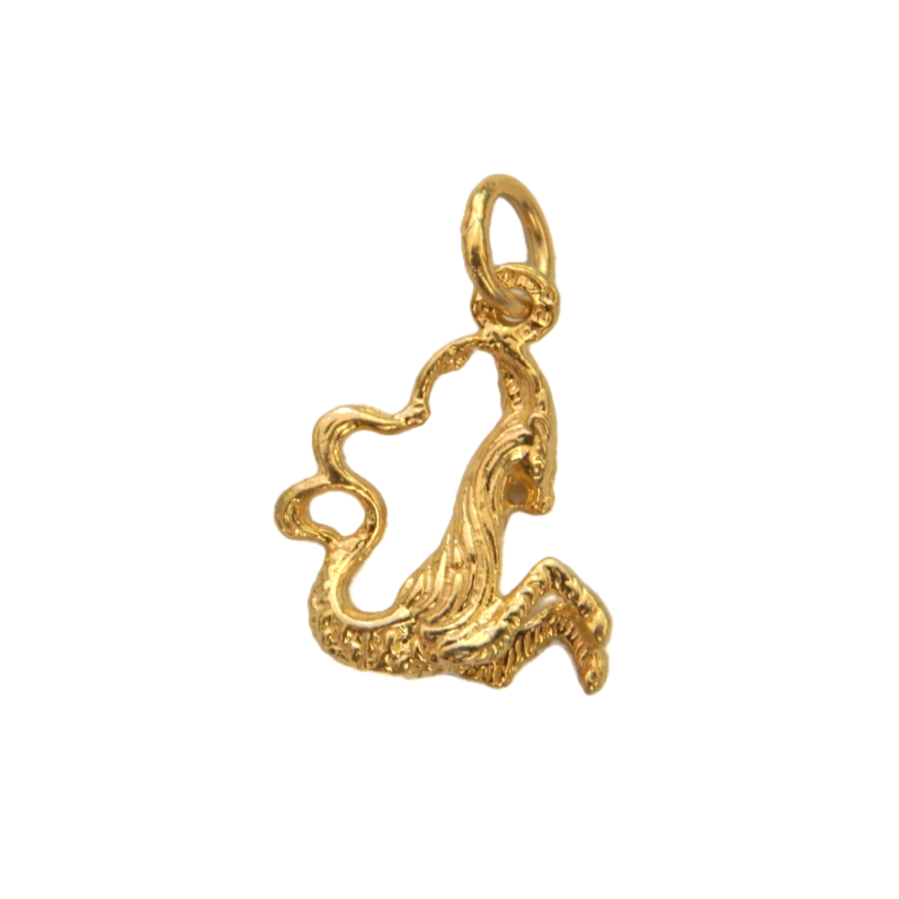 Capricorn Zodiac Sign Charm Pendant