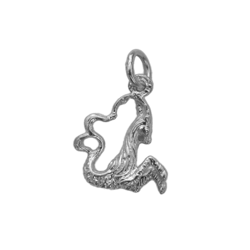 Capricorn Zodiac Sign Charm Pendant