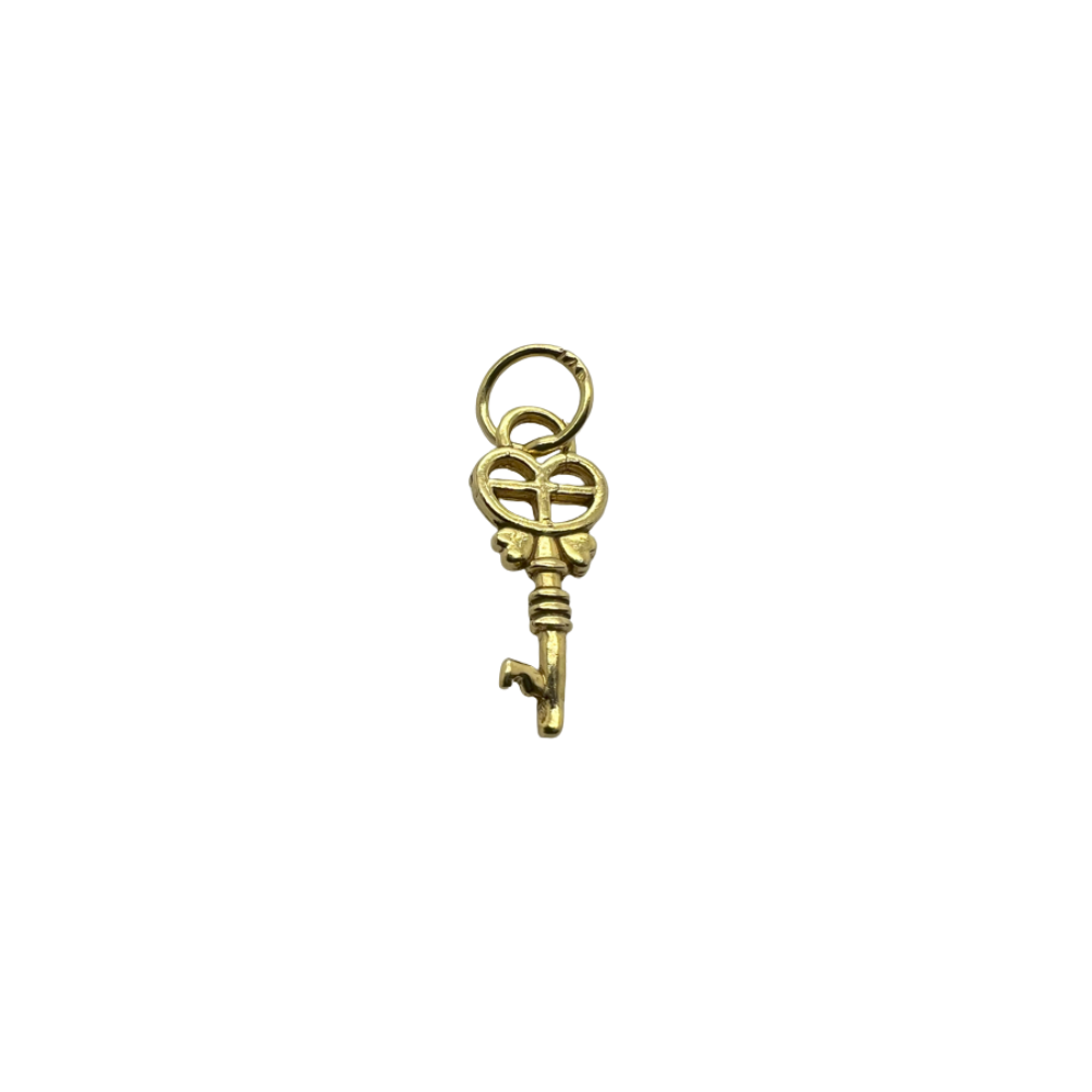 Fancy Skeleton Key Charm Pendant