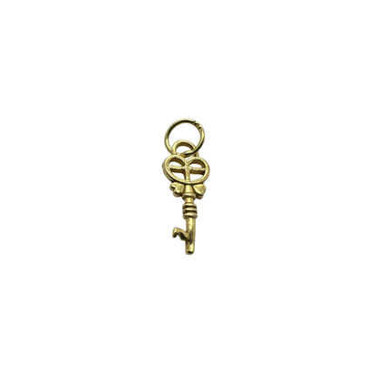 Fancy Skeleton Key Charm Pendant