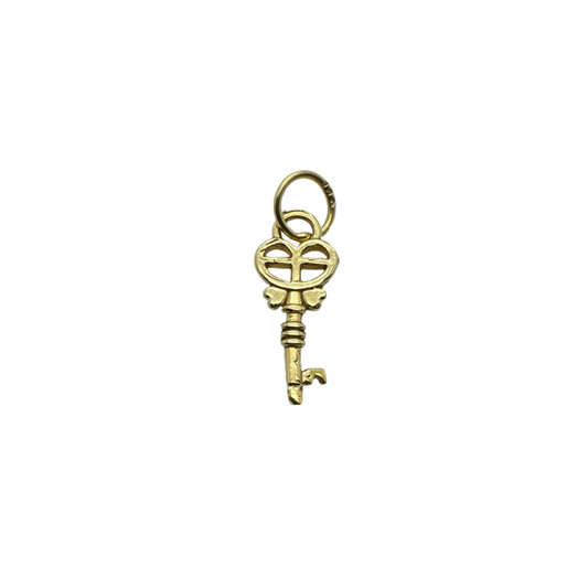 Fancy Skeleton Key Charm Pendant