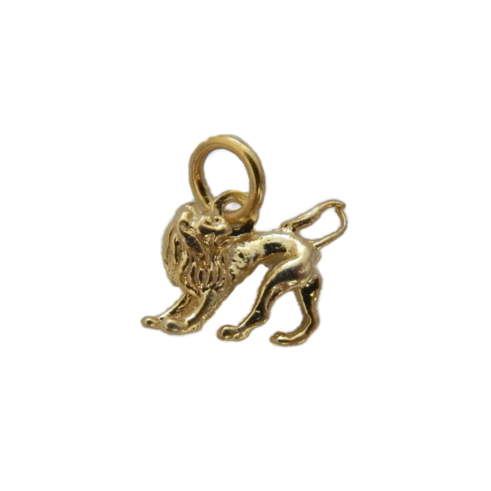 Leo Zodiac Sign Charm Pendant