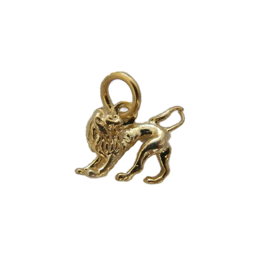 Leo Zodiac Sign Charm Pendant