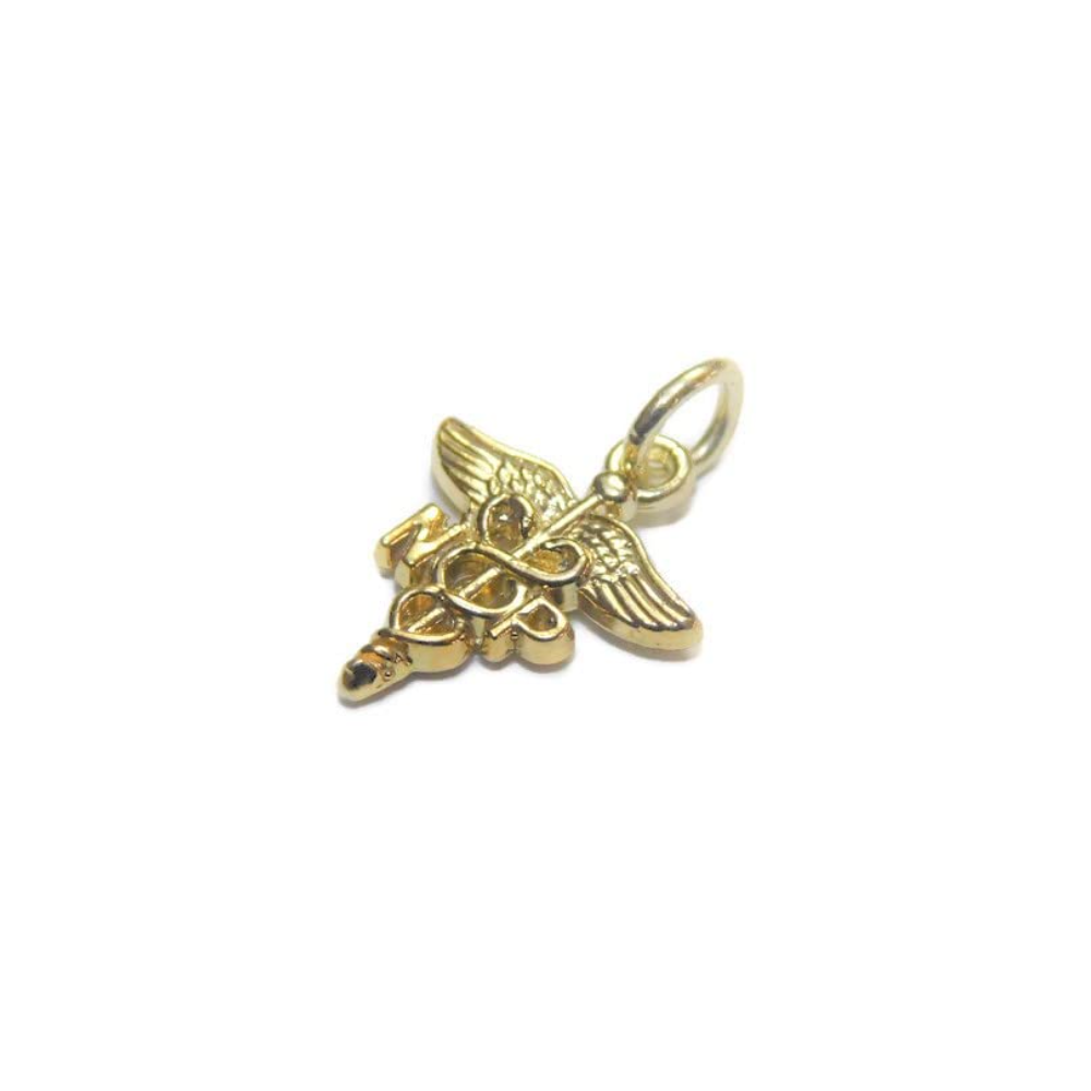 Nurse Practitioner Charm Pendant