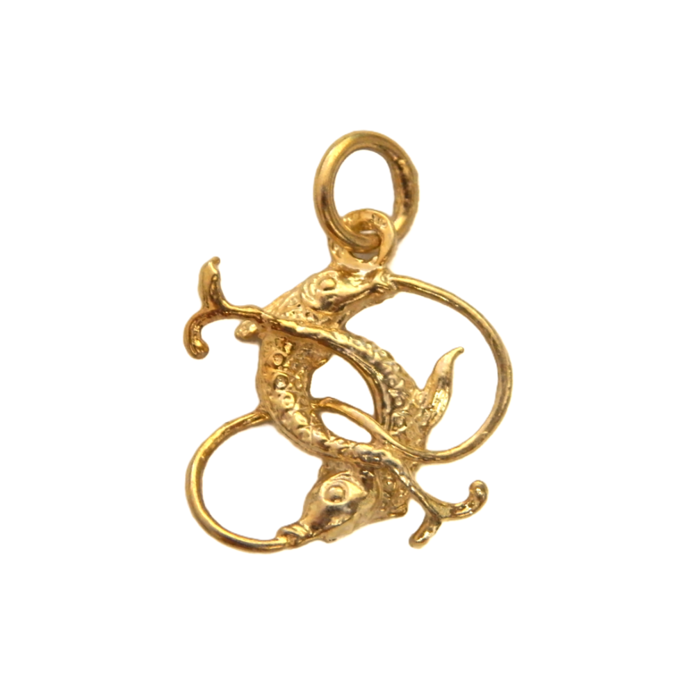Pisces Zodiac Sign Charm Pendant