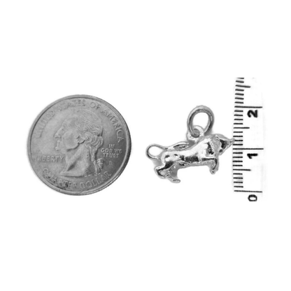 Taurus Zodiac Charm Pendant
